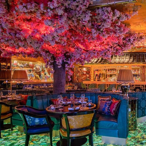 The Ivy Asia